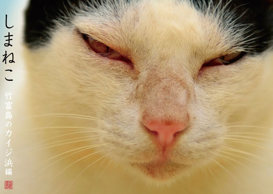 しまねこ