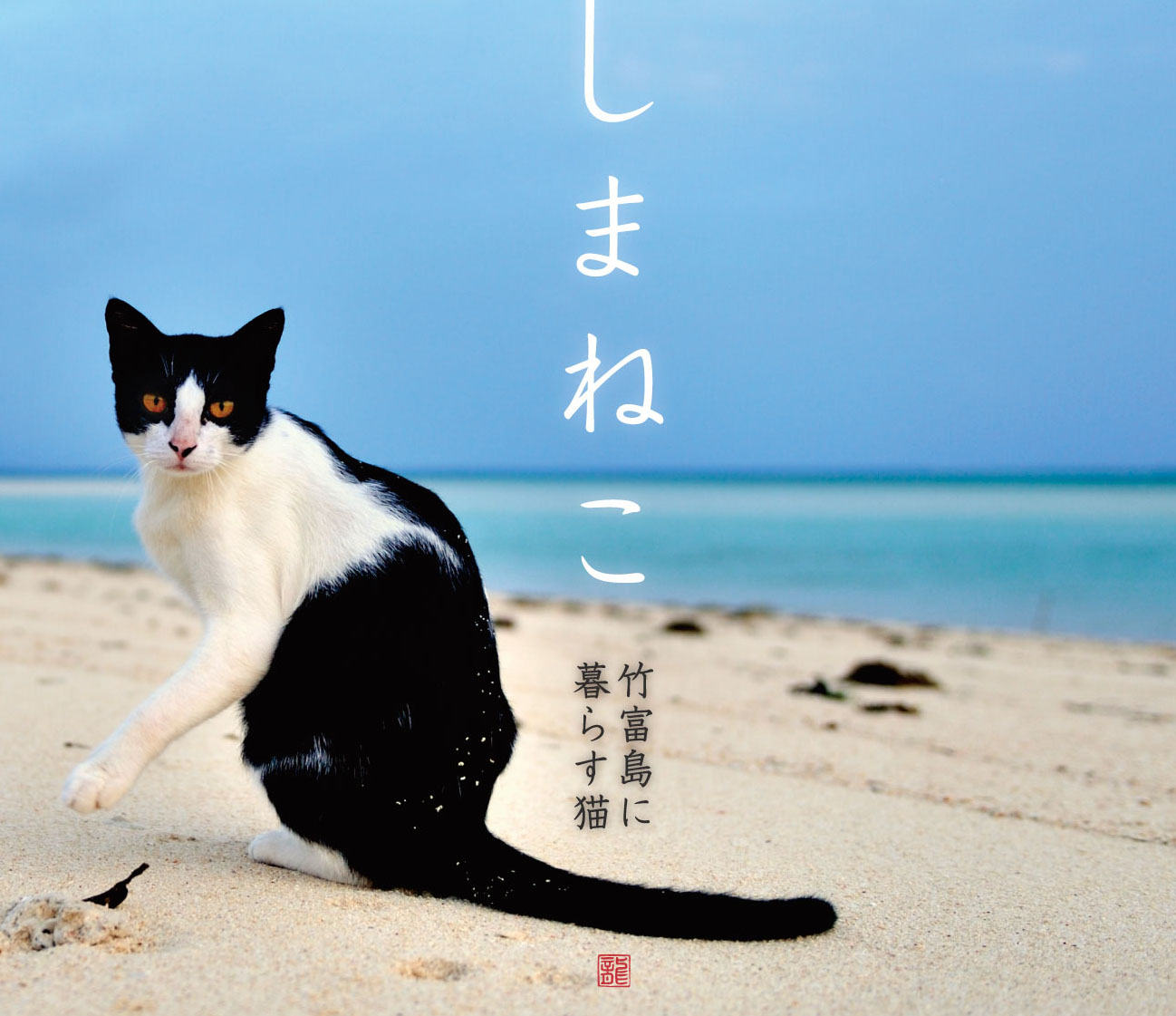 しまねこ